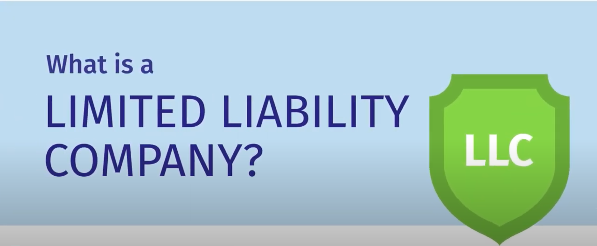whichever is a small liability company